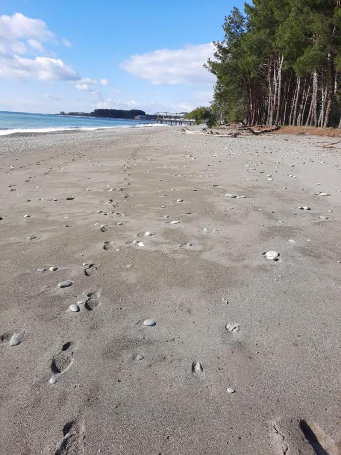 Гостевой Дом La Mer Pizunda Luaran gambar